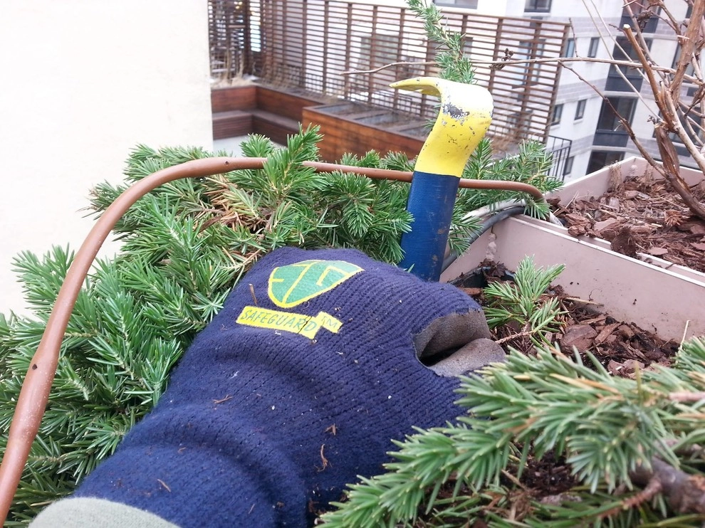 NY Plantings Irrigation And Landscape Lighting - Photo 5