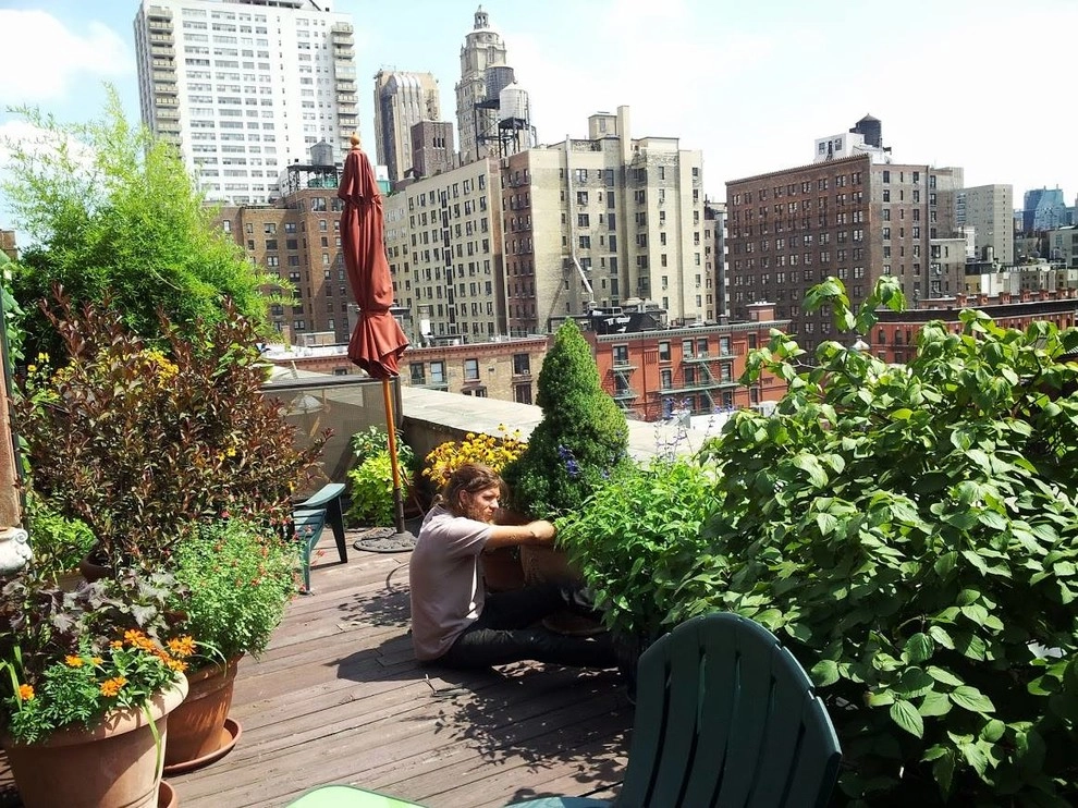 NY Plantings Irrigation And Landscape Lighting - Photo 10