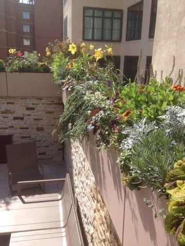 Rooftop garden designers NY by NY Plantings Irrigation And Landscape Lighting - Photo 2