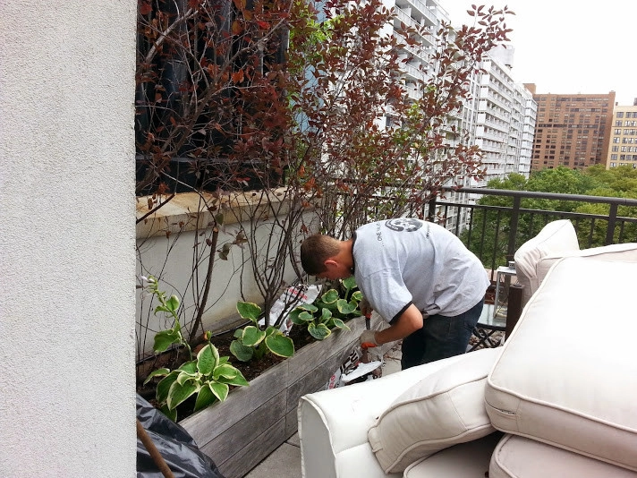 Manhattan Rooftop garden planting by NY Plantings Irrigation And Landscape Lighting - Photo 5