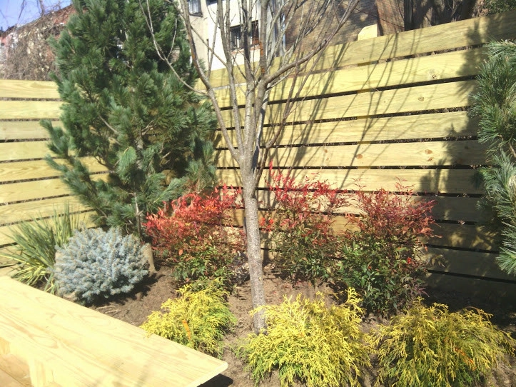 Town House Landscape Design and Renovation by NY Plantings Irrigation And Landscape Lighting - Photo 23