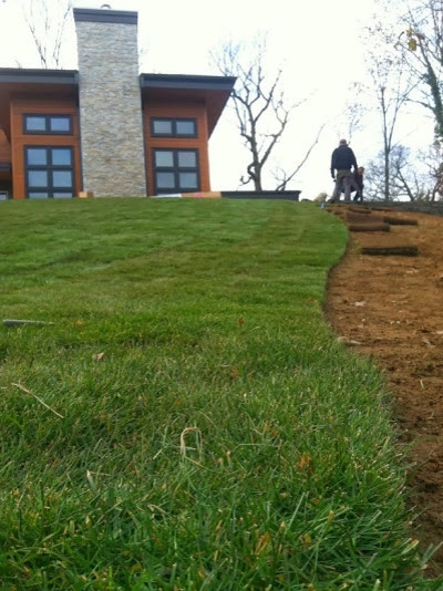 Planting on hills to control erosion by NY Plantings Irrigation And Landscape Lighting - Photo 3