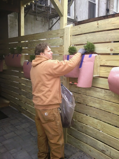 NYC Brooklyn Townhouse Landscape Renovation by NY Plantings Irrigation And Landscape Lighting - Photo 3