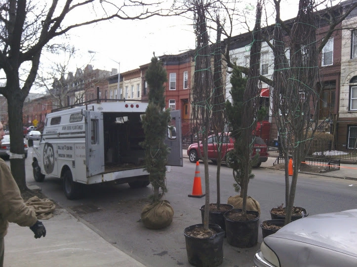 Town House Landscape Design and Renovation by NY Plantings Irrigation And Landscape Lighting - Photo 5