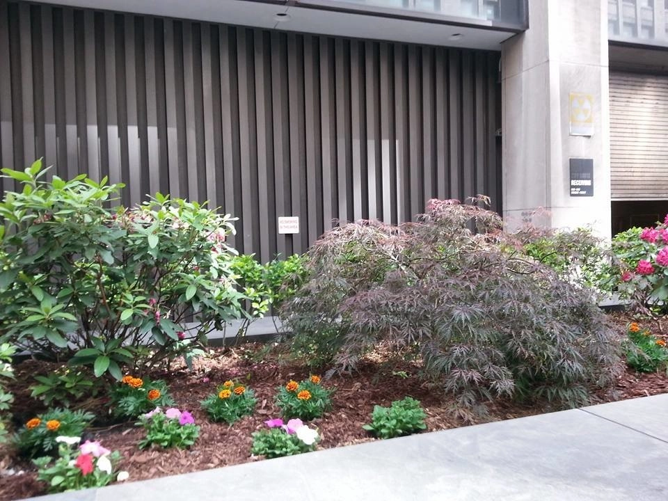 Landscape Designers NY by NY Plantings Irrigation And Landscape Lighting - Photo 20