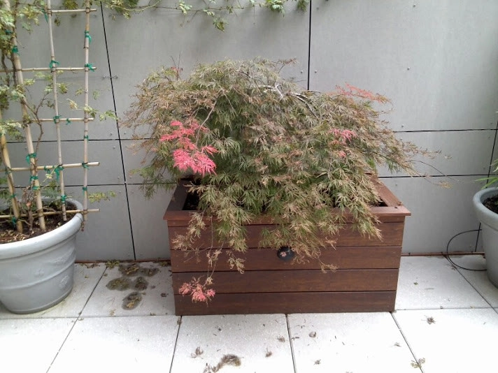Rooftop garden designers NY by NY Plantings Irrigation And Landscape Lighting - Photo 7