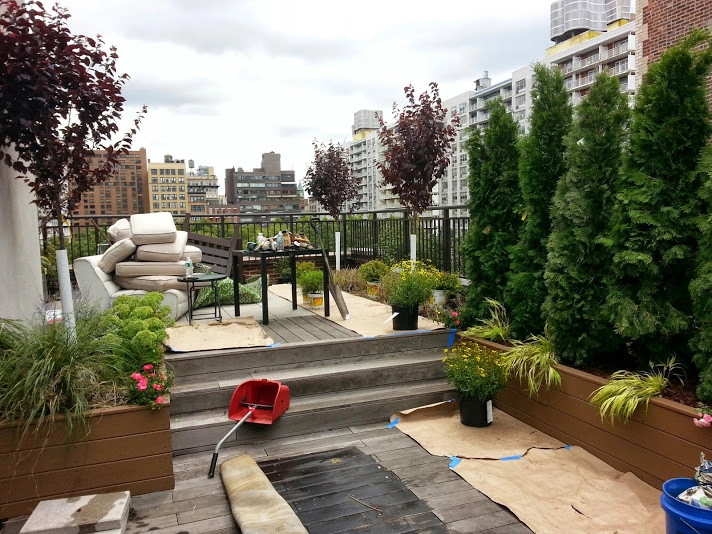 Manhattan Rooftop garden planting by NY Plantings Irrigation And Landscape Lighting - Photo 11