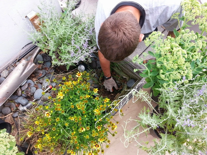 Manhattan Rooftop garden planting by NY Plantings Irrigation And Landscape Lighting - Photo 12