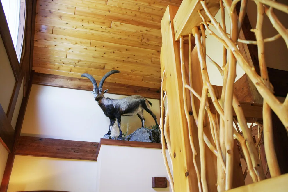 Wooden Structure by Veritas Custom Homes - Photo 31