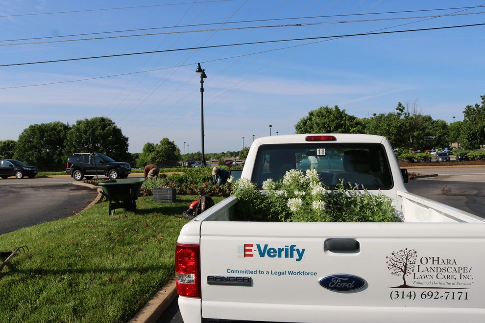 The O'Hara Team @ Work! by O'Hara Landscape / Lawn Care, Inc. - Photo 4