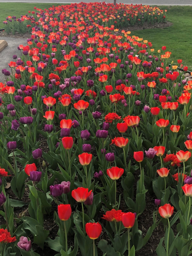 Our Office by O'Hara Landscape / Lawn Care, Inc. - Photo 5