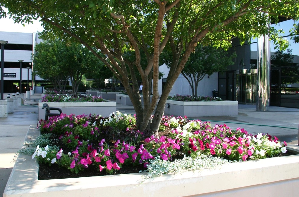 Project Examples by O'Hara Landscape / Lawn Care, Inc. - Photo 6
