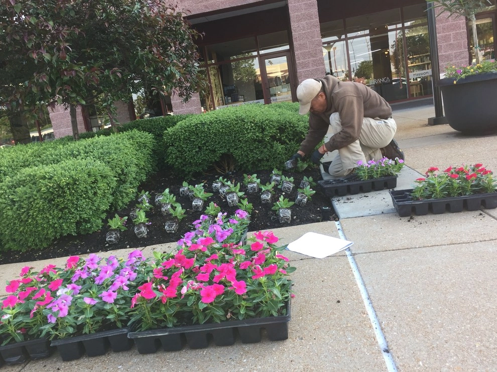 O'Hara Landscape / Lawn Care, Inc. - Photo 12