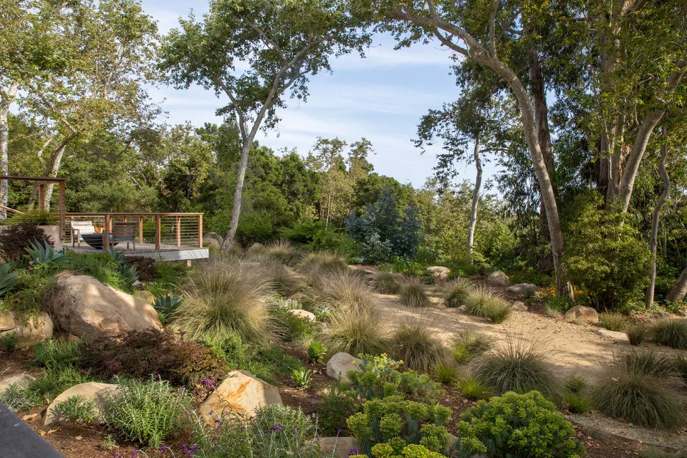 Torito home by Jed Hirsch, General Building Contractor, Inc. - Photo 22