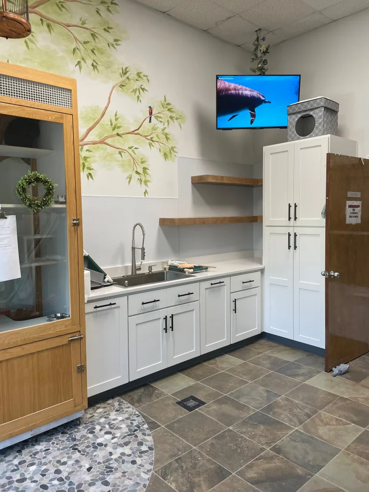 Urban and Rural Revamp by Sole Source Solution, LLC - Photo 8