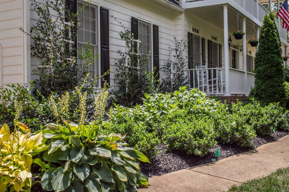 Oasis Landscapes & Irrigation - Photo 2