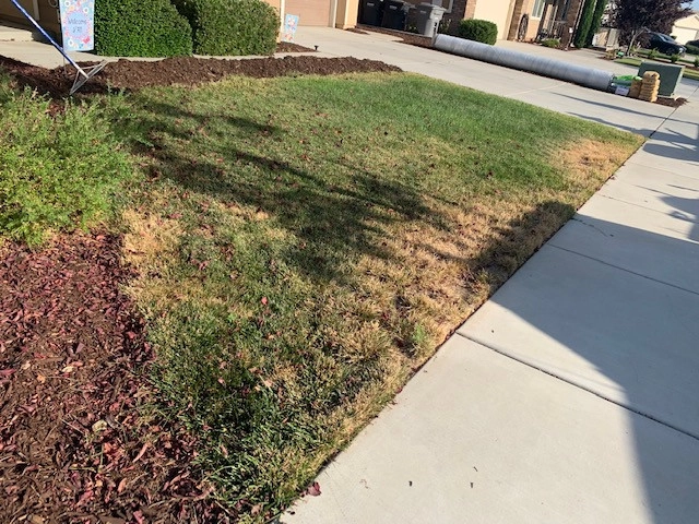 Oasis Turf & Hardscape - Photo 8