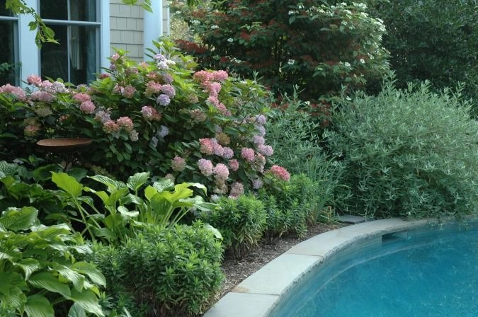 Poolside by Ogden's Design And Plantings, Inc. - Photo 6
