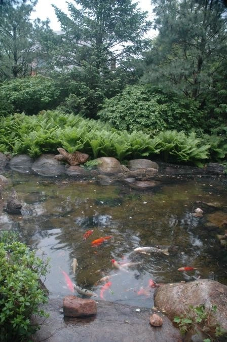 Pondscapes by Ogden's Design And Plantings, Inc. - Photo 3