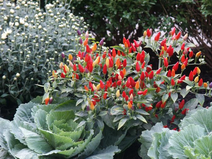 Commercial Projects by Ogden's Design And Plantings, Inc. - Photo 7
