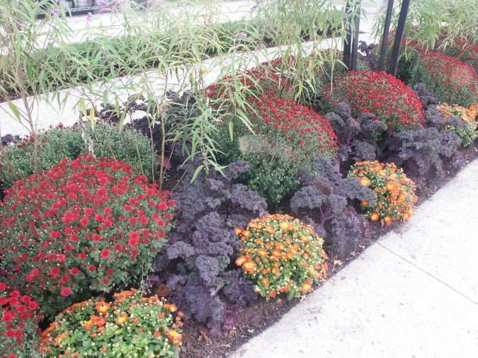 Ogden's Design And Plantings, Inc. - Photo 10
