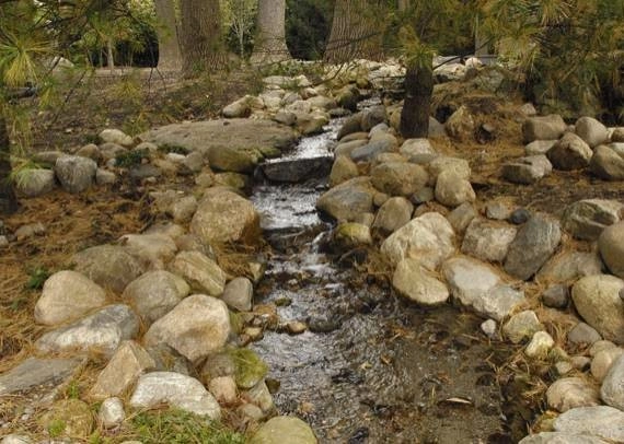 Pondscapes by Ogden's Design And Plantings, Inc. - Photo 4