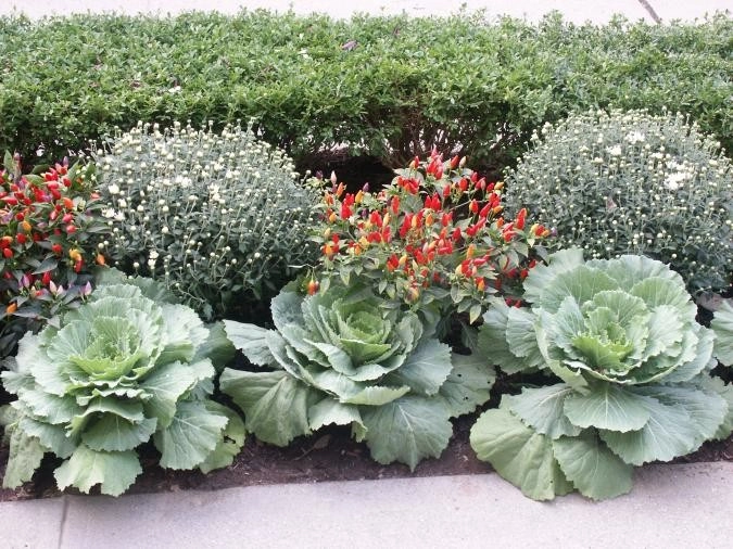 Commercial Projects by Ogden's Design And Plantings, Inc. - Photo 2