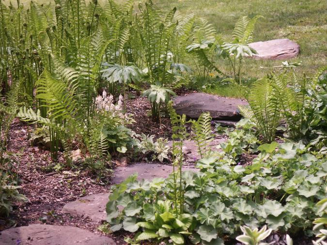 Ogden's Design And Plantings, Inc. - Photo 8