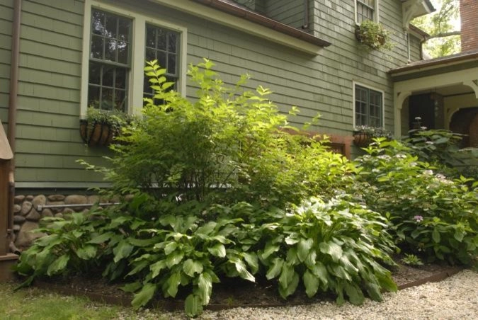 In the Shade by Ogden's Design And Plantings, Inc. - Photo 6