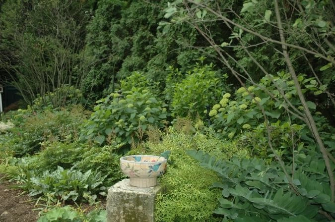 In the Shade by Ogden's Design And Plantings, Inc. - Photo 3
