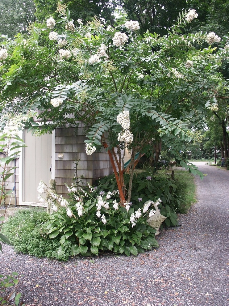 Landscaping with Trees by Ogden's Design And Plantings, Inc. - Photo 9