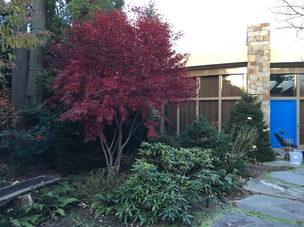 Landscaping with Trees by Ogden's Design And Plantings, Inc. - Photo 11