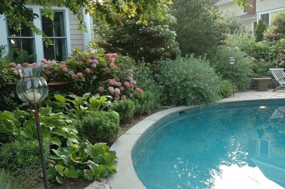Colorful, Blooming Hydrangeas by Ogden's Design And Plantings, Inc. - Photo 4