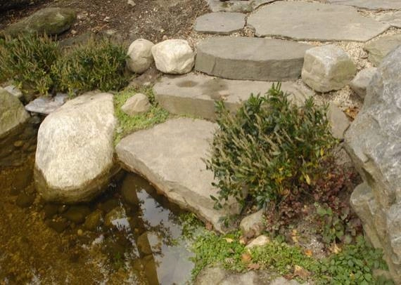 Ogden's Design And Plantings, Inc. - Photo 6