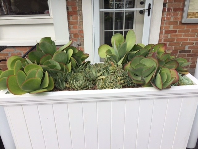 Ogden's Design And Plantings, Inc. - Photo 2