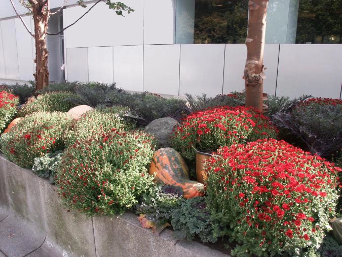 Commercial Projects by Ogden's Design And Plantings, Inc. - Photo 5