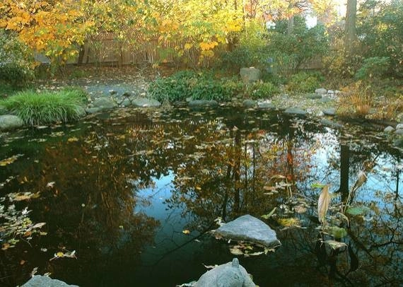 Pondscapes by Ogden's Design And Plantings, Inc. - Photo 5