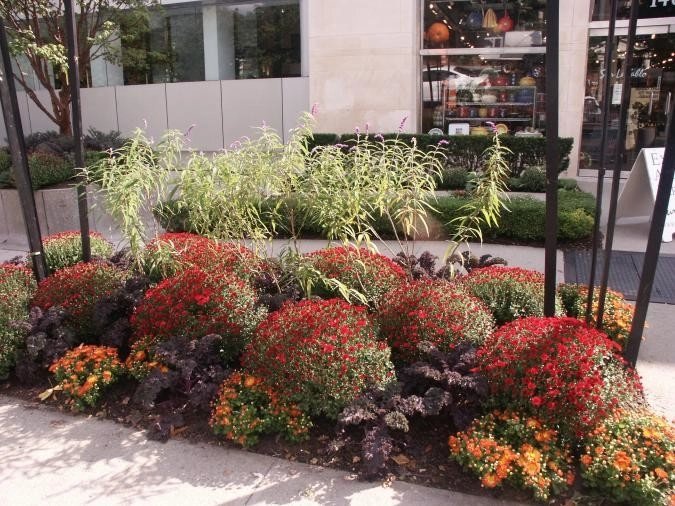 Commercial Projects by Ogden's Design And Plantings, Inc. - Photo 6
