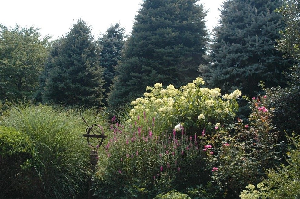 Colorful, Blooming Hydrangeas by Ogden's Design And Plantings, Inc. - Photo 10