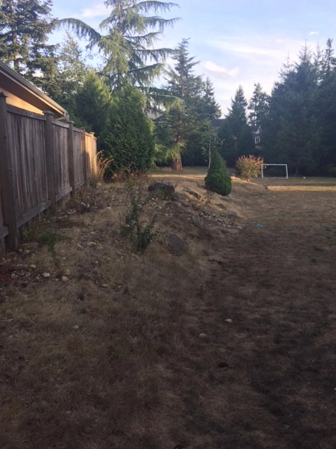 Maple Valley Before & After by Olympic Rockeries - Photo 5