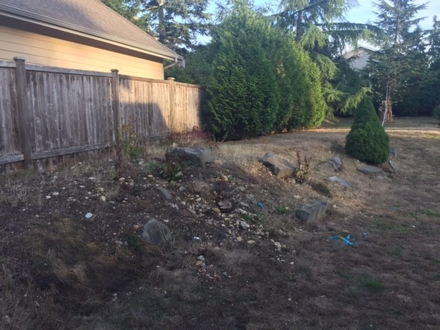 Maple Valley Before & After by Olympic Rockeries - Photo 6
