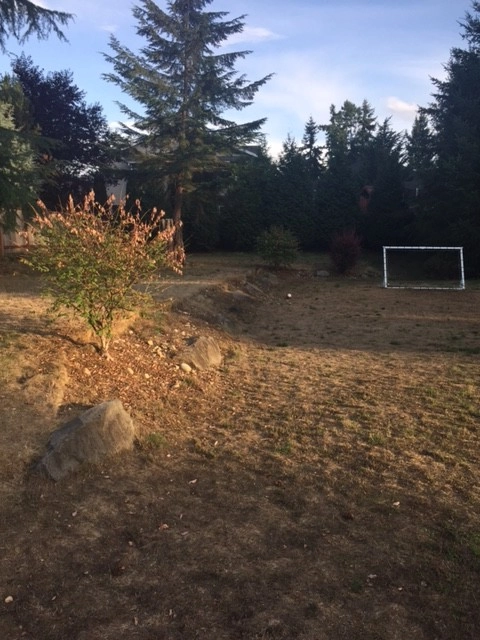 Maple Valley Before & After by Olympic Rockeries - Photo 4