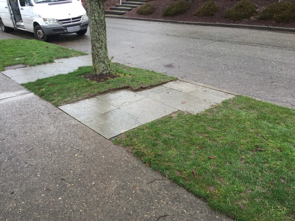 West Seattle Hardscapes by Olympic Rockeries - Photo 10