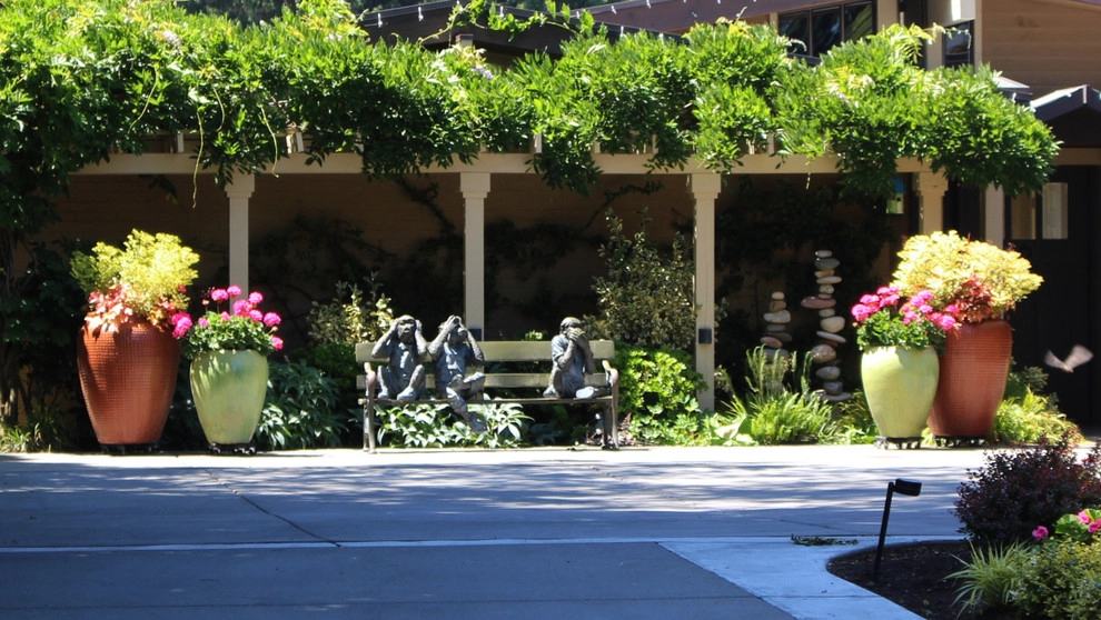 Transitional Landscape Makeover by Olympic Rockeries - Photo 13