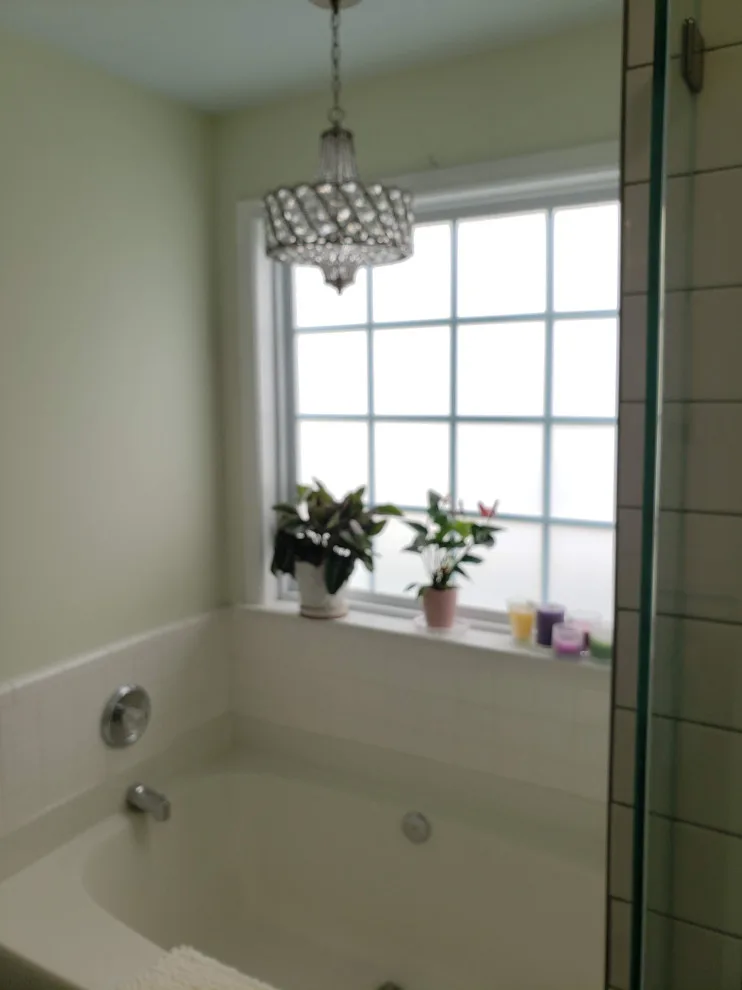 Master Bath and Powder Room Renovation Project by Conservation Renovations Inc. - Photo 3
