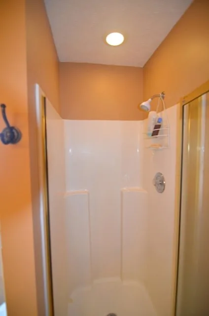 Bathtub and Shower by Frank's Home Maintenance And General Contracting - Photo 3