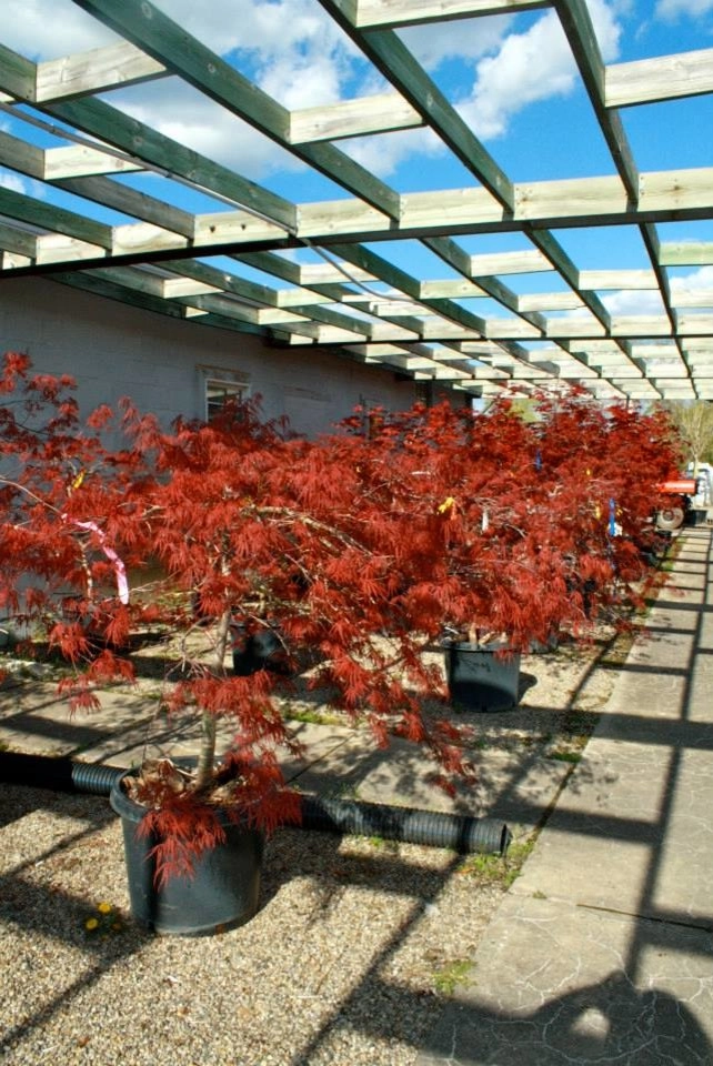 Margolis Companies - Photo 5