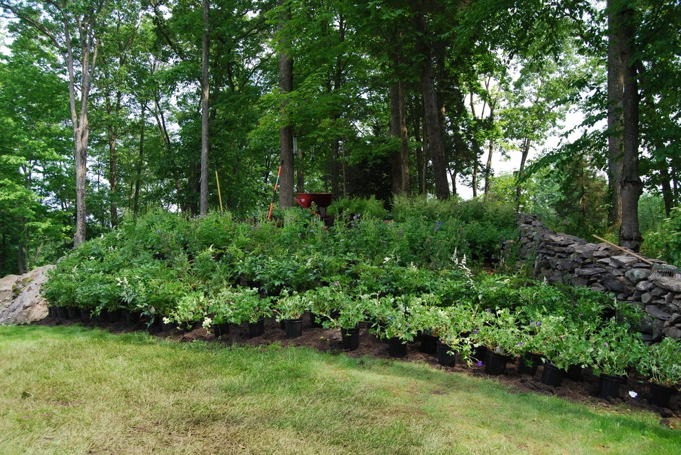Our Work by Organic Landscapes NY By DeLuca Lawn Maintenance - Photo 10