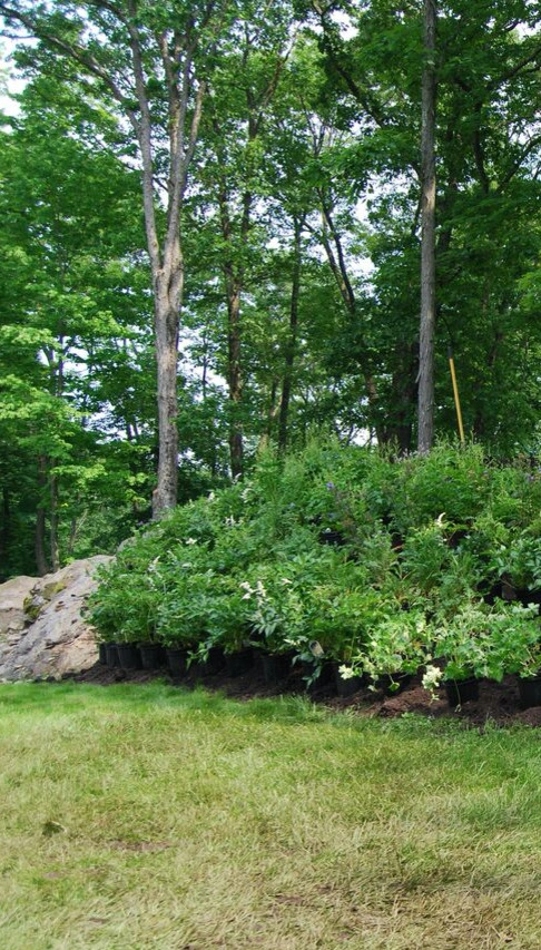 Our Work by Organic Landscapes NY By DeLuca Lawn Maintenance - Photo 11