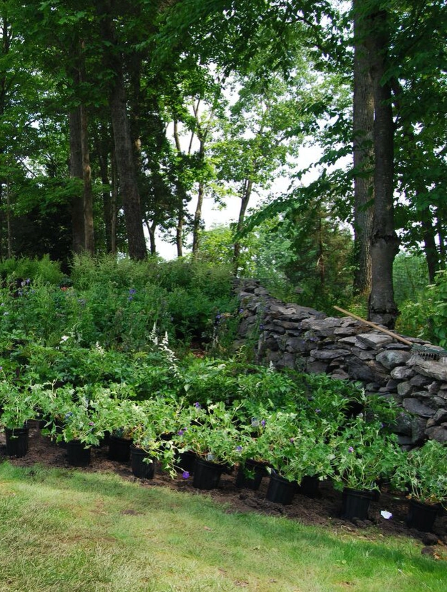 Organic Landscapes NY By DeLuca Lawn Maintenance - Photo 5